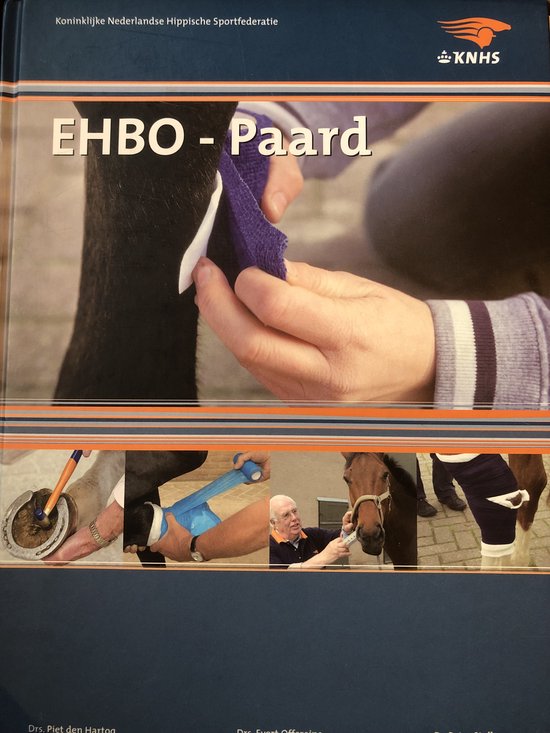 EHBO Paard