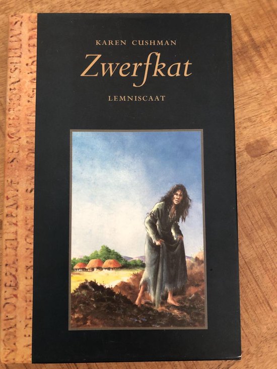 Zwerfkat