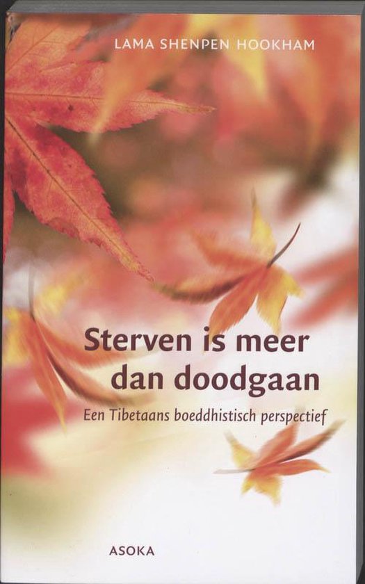 Sterven is meer dan doodgaan