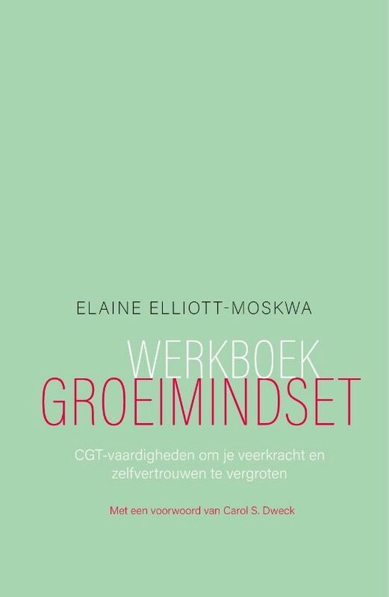 Werkboek groeimindset