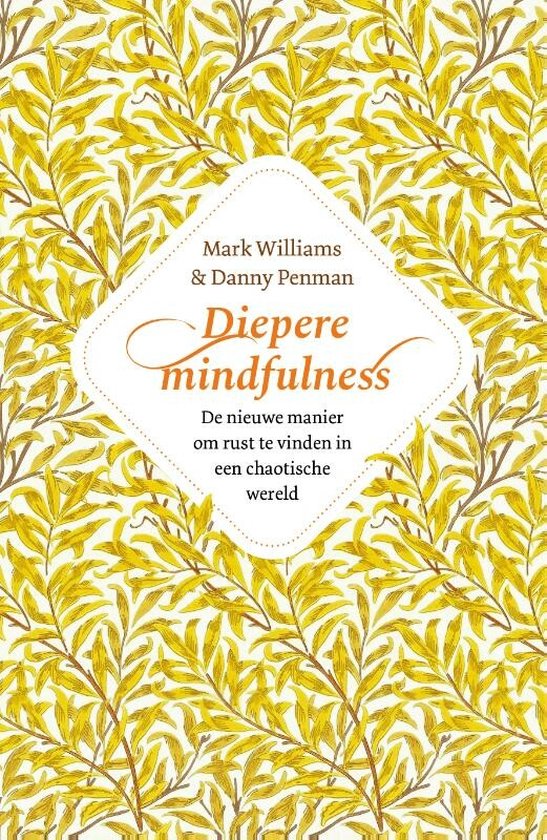 Diepere Mindfulness