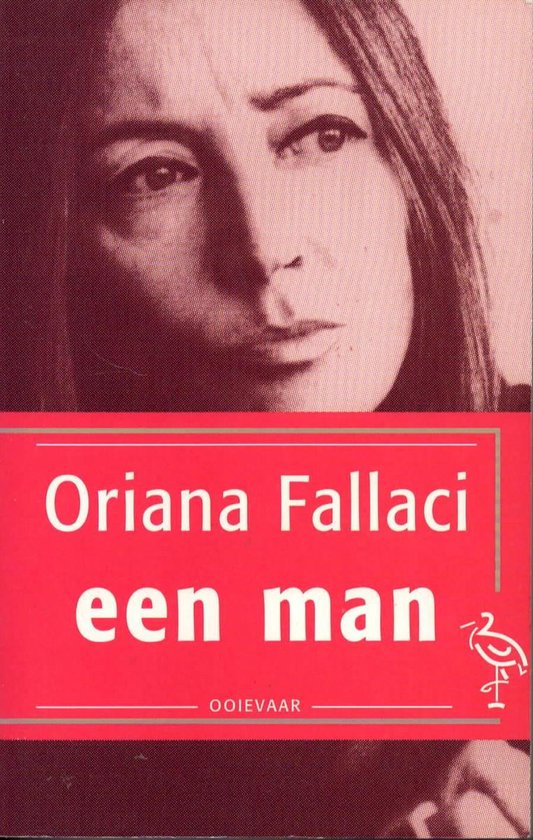 Een man : roman