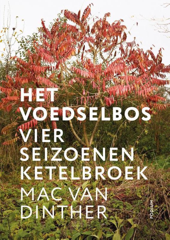 Het voedselbos