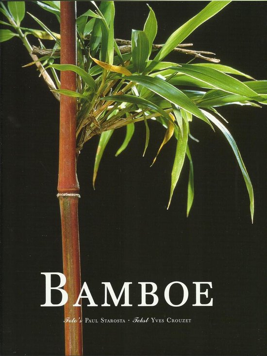 Bamboe