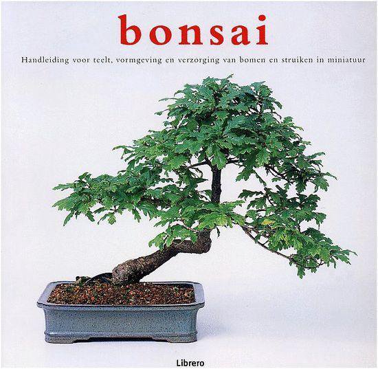 Bonsai