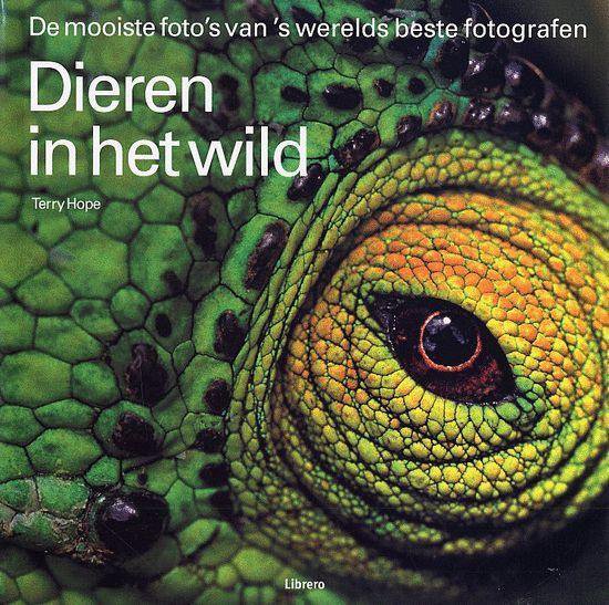 Dieren In Het Wild