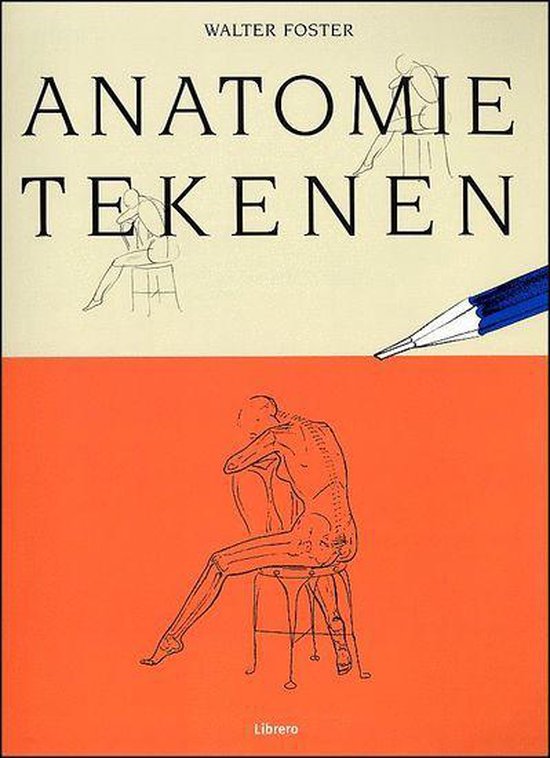 anatomie tekenen