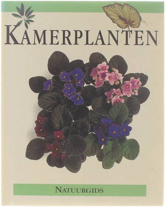 Kamerplanten