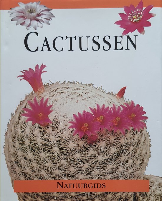 Cactussen