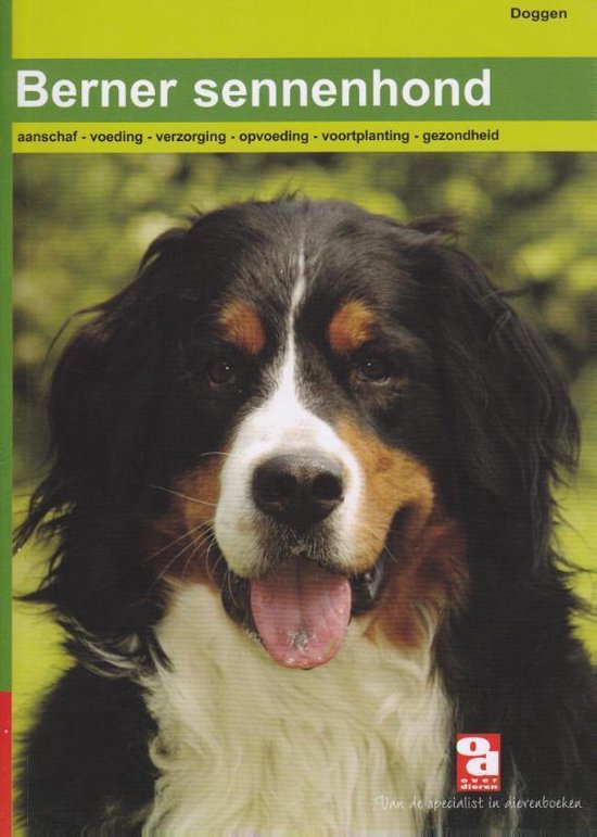 Over Dieren - De Berner Sennenhond