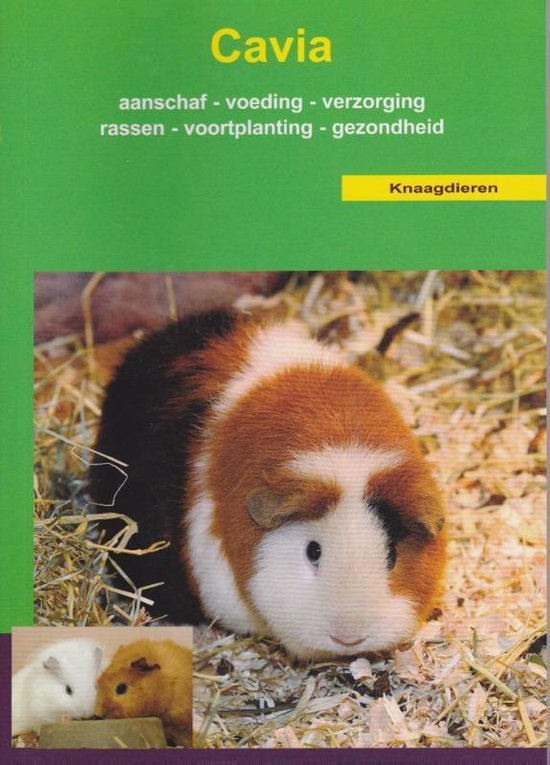 Over Dieren  -   De cavia