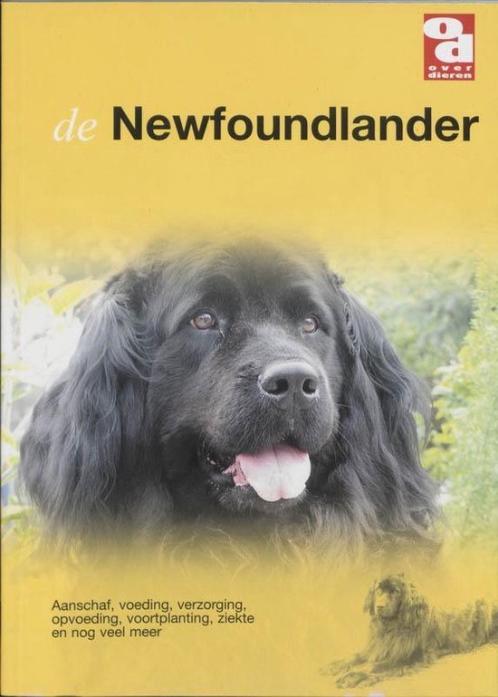 Newfoundlander