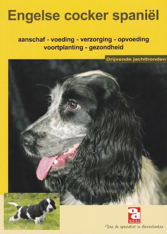 Over Dieren  -   De engelse cocker spaniel