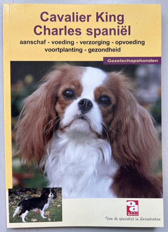 Over Dieren 60 - Cavalier King Charles Spaniel