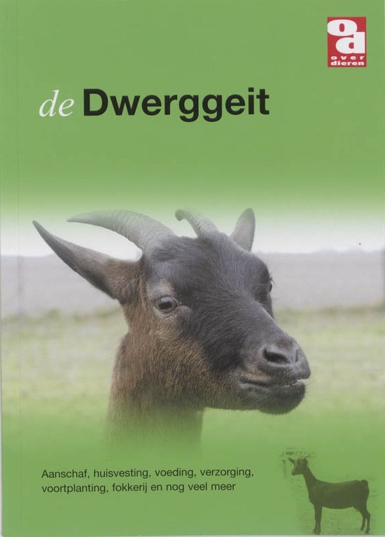 Dwerggeit