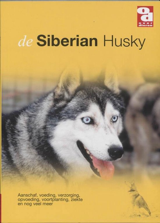 Siberian Husky