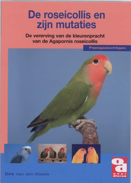 Over Dieren 155 -   De roseicollis en zijn mutaties