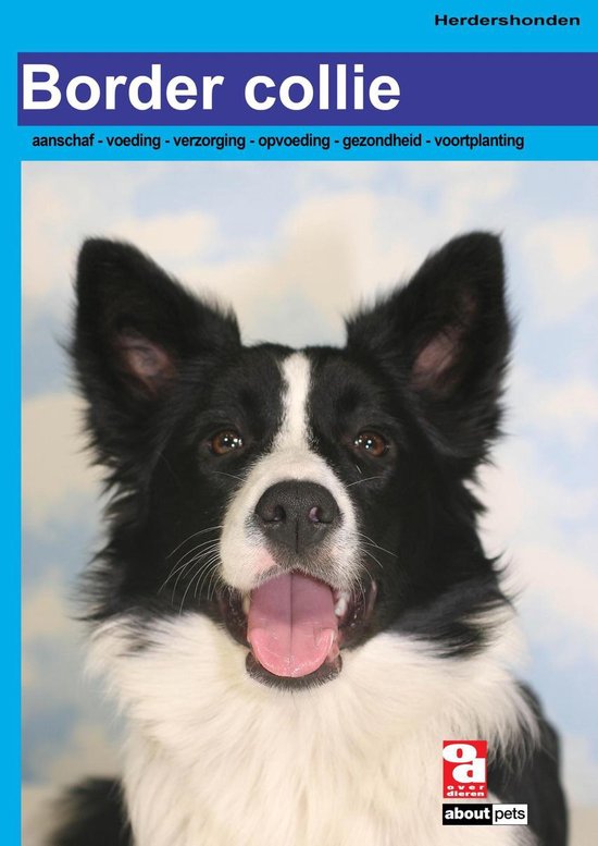 Over Dieren - Border Collie