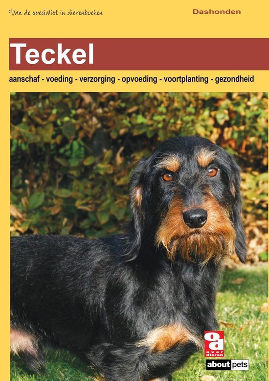 Over Dieren - Teckel