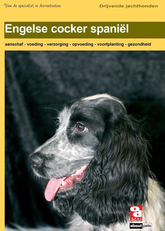 Over Dieren - Engelse Cocker Spaniel