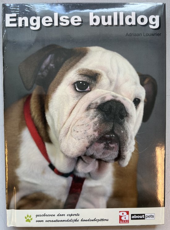 Over Dieren  -   Engelse bulldog