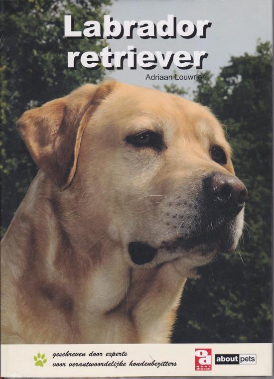 Over Dieren - Labrador retriever