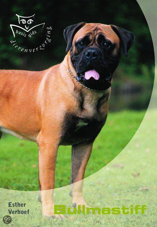 Bullmastiff