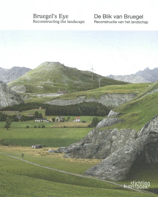 Bruegel's Eye: Reconstructing the Landscape