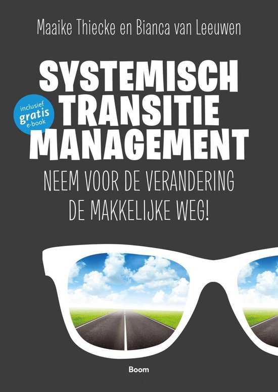 Systemisch Transitiemanagement