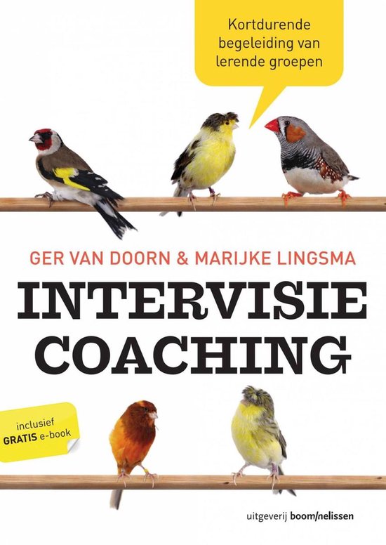 Intervisiecoaching