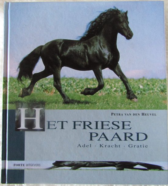 Friese Paard