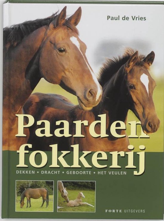 Paardenfokkerij