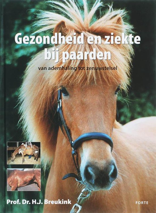 Gezondheid en ziekte bij paarden