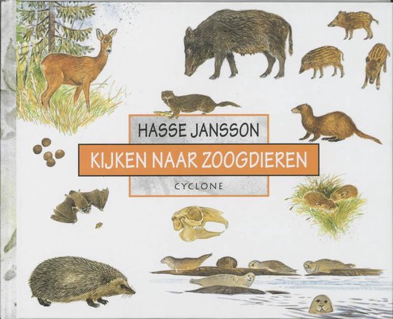 Kijken Naar Zoogdieren