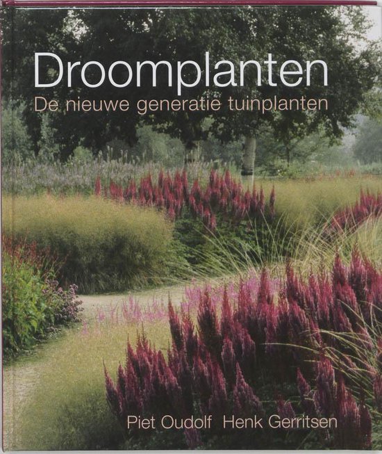 Droomplanten