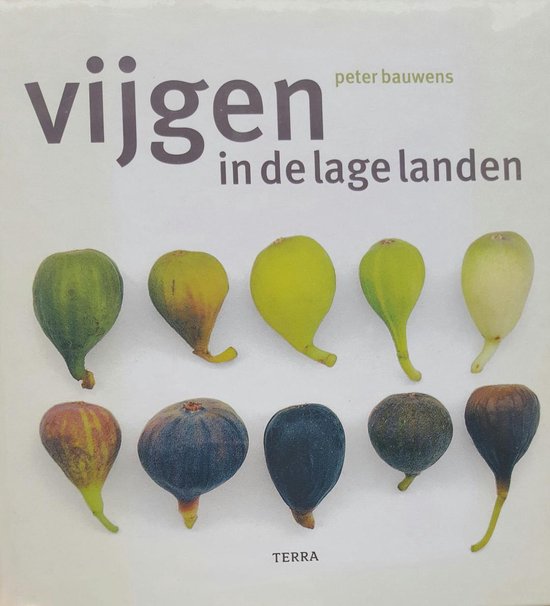 Vijgen In De Lage Landen