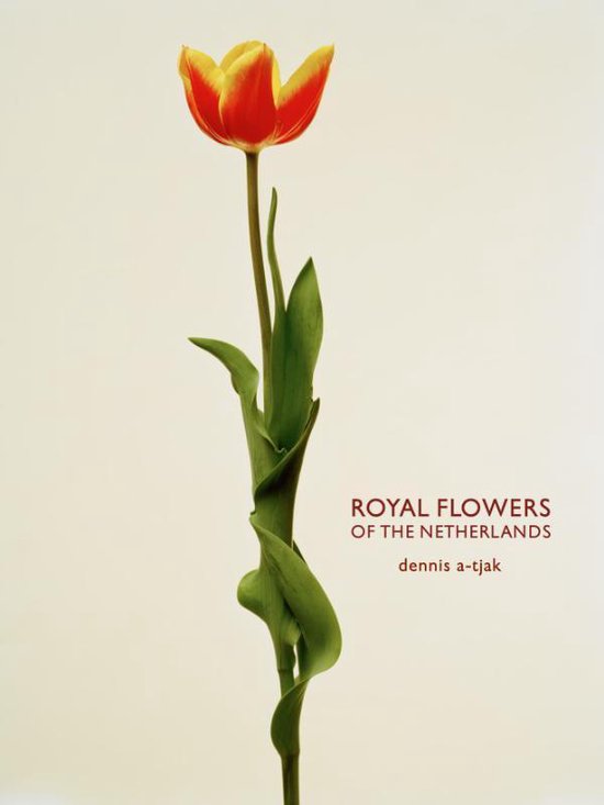 Royal Flowers Of The Netherlands