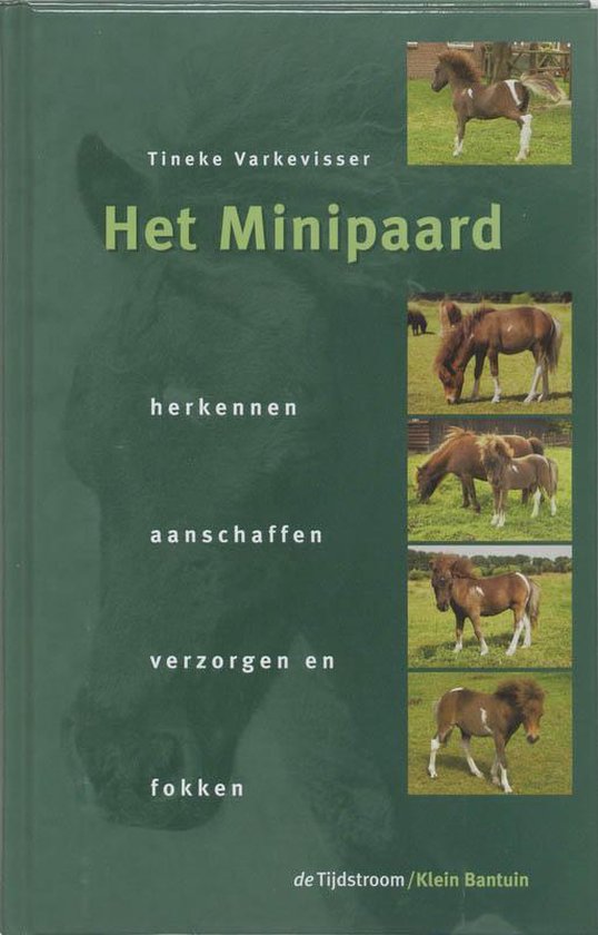 Het minipaard