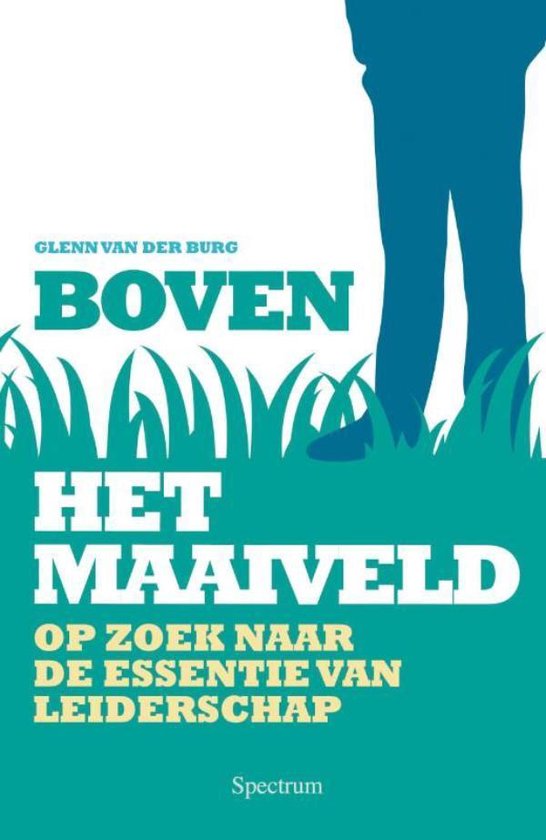 Boven Het Maaiveld