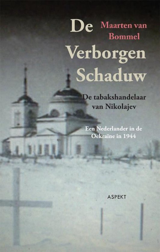 De verborgen schaduw