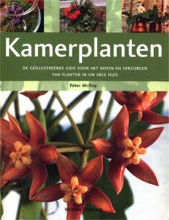 Kamerplanten