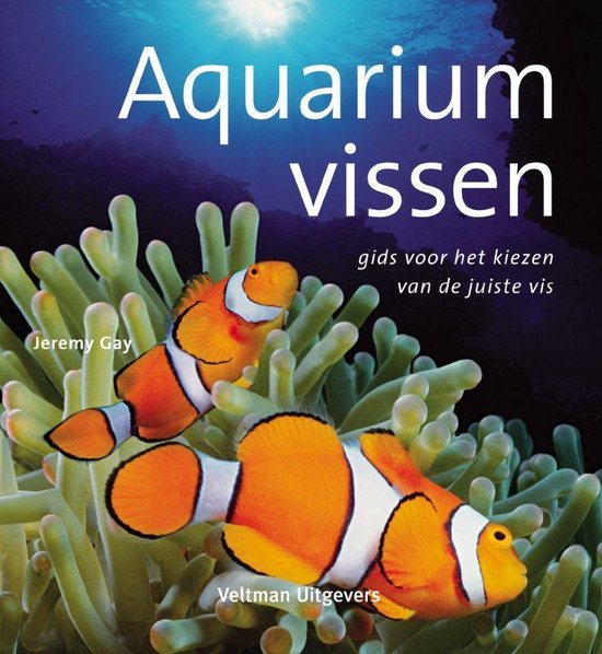 Aquariumvissen