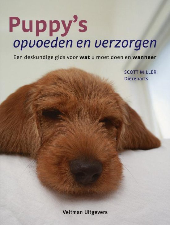 Puppy's opvoeden en verzorgen