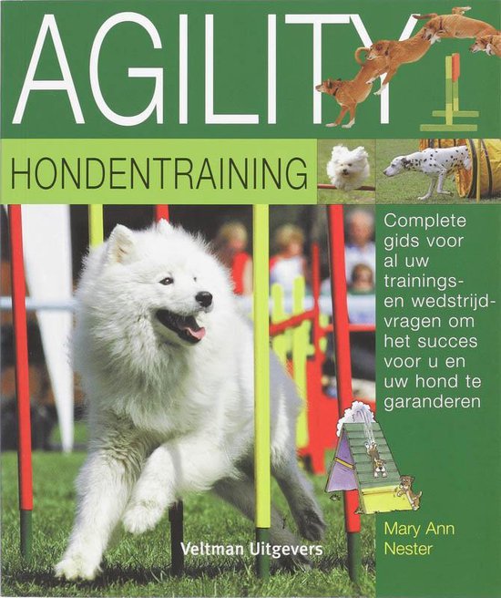 Agility Hondentraining