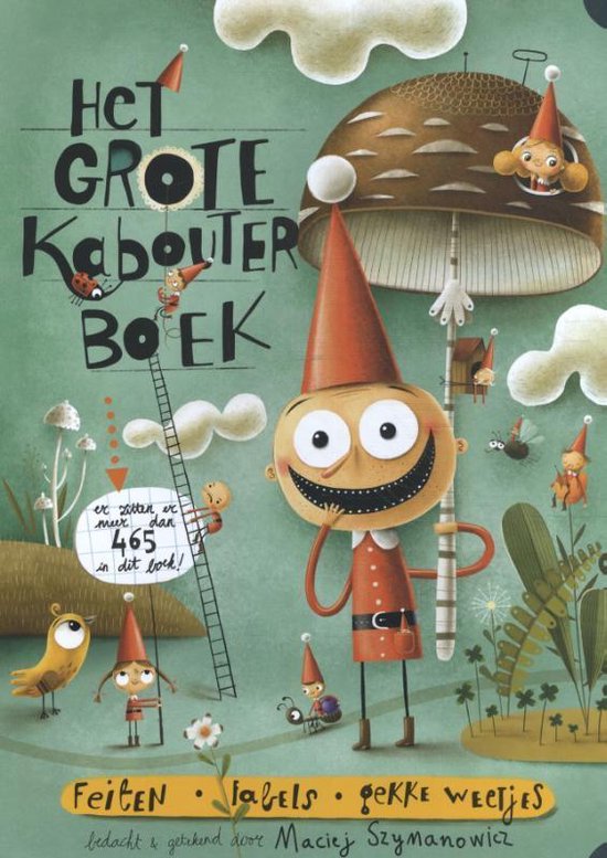 Het grote kabouterboek