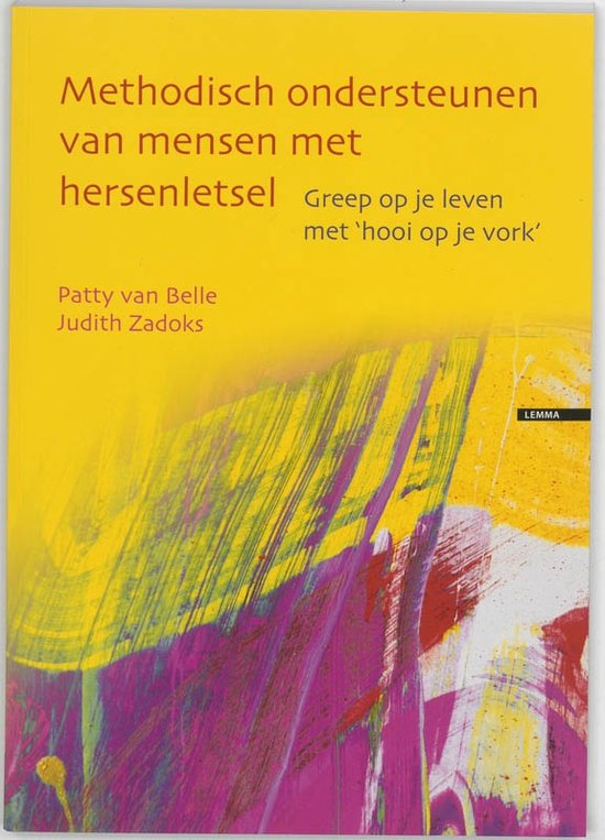 Methodisch ondersteunen van mensen met hersenletsel + DVD