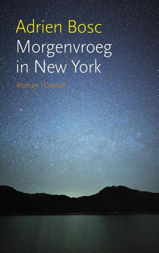 Morgenvroeg in New York