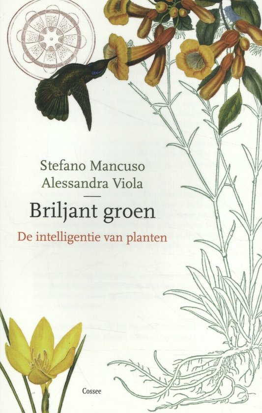 Briljant groen