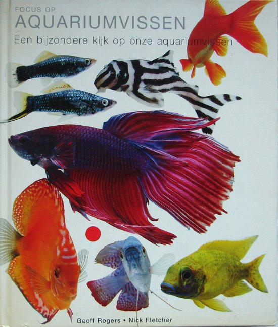 FOCUS OP AQUARIUMVISSEN