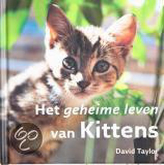 Geheime leven van Kittens